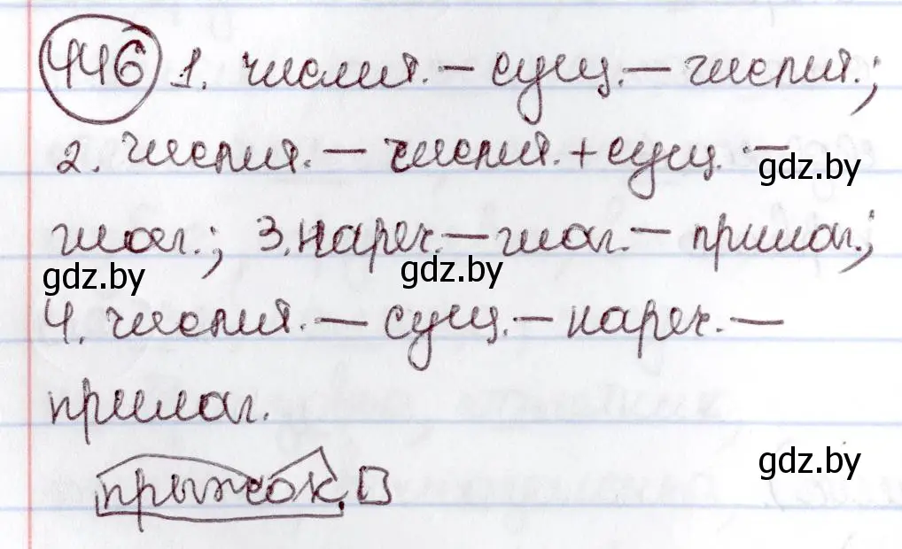 Решение номер 446 (страница 199) гдз по русскому языку 6 класс Мурина, Игнатович, учебник