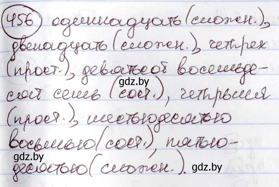 Решение номер 456 (страница 202) гдз по русскому языку 6 класс Мурина, Игнатович, учебник