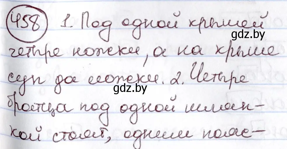 Решение номер 458 (страница 203) гдз по русскому языку 6 класс Мурина, Игнатович, учебник