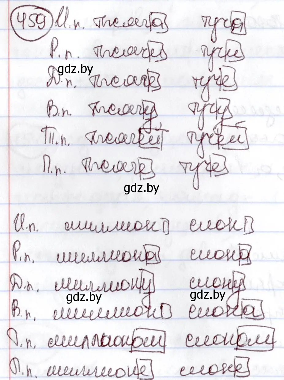 Решение номер 459 (страница 203) гдз по русскому языку 6 класс Мурина, Игнатович, учебник