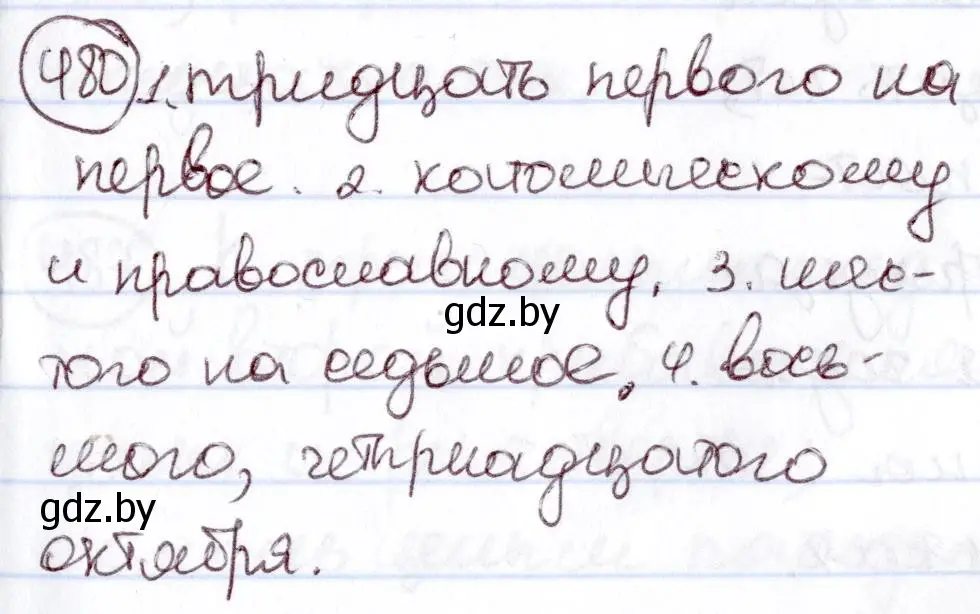 Решение номер 480 (страница 209) гдз по русскому языку 6 класс Мурина, Игнатович, учебник