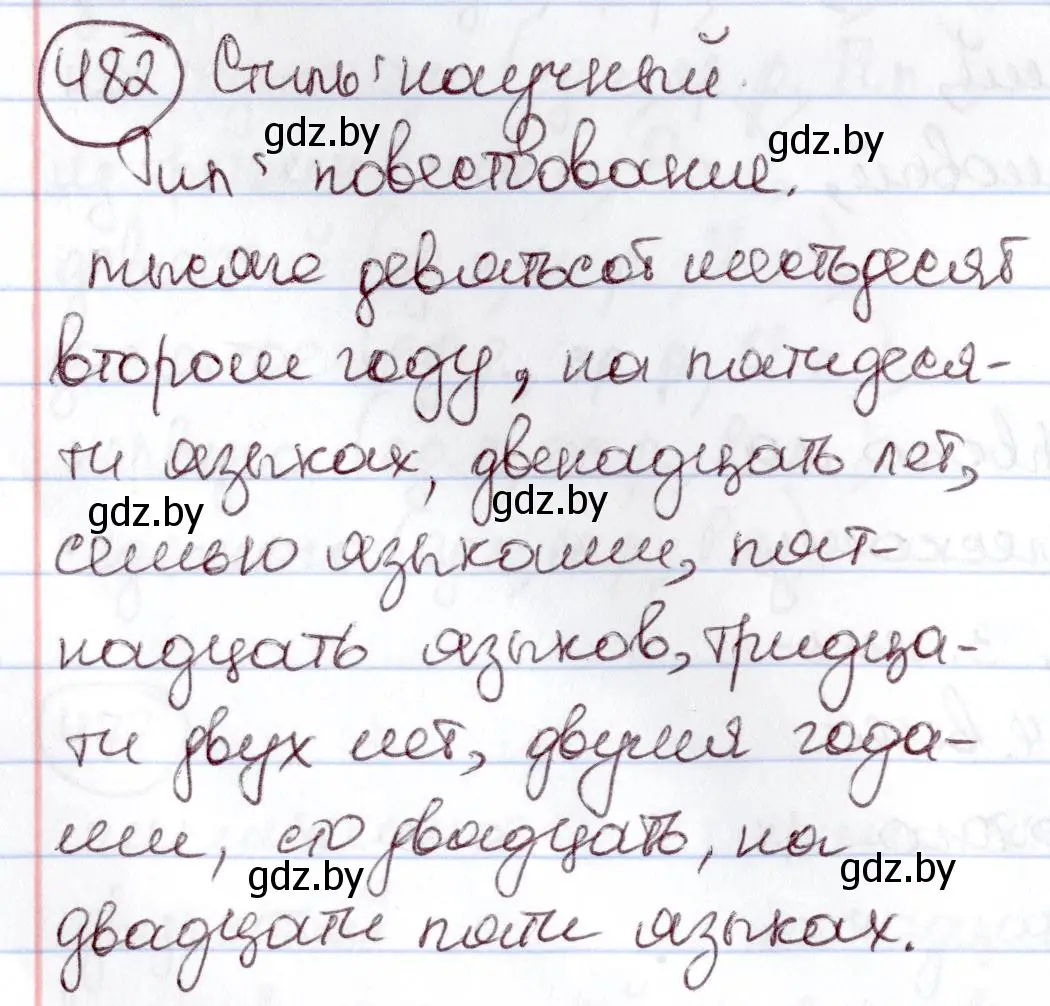 Решение номер 482 (страница 209) гдз по русскому языку 6 класс Мурина, Игнатович, учебник