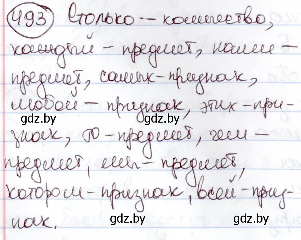 Решение номер 493 (страница 213) гдз по русскому языку 6 класс Мурина, Игнатович, учебник