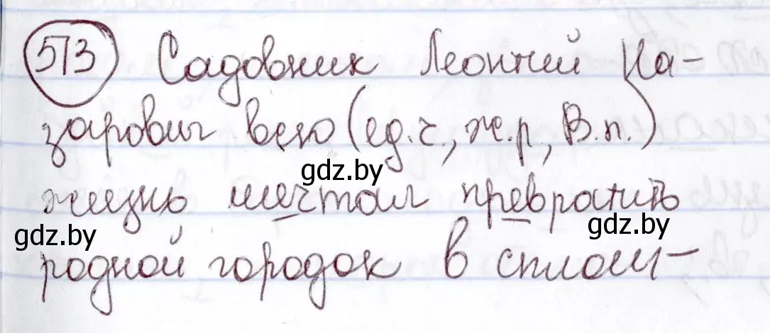 Решение номер 513 (страница 219) гдз по русскому языку 6 класс Мурина, Игнатович, учебник