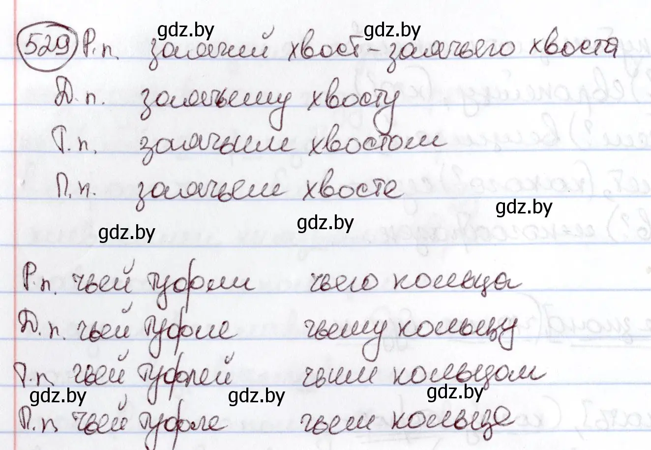 Решение номер 529 (страница 224) гдз по русскому языку 6 класс Мурина, Игнатович, учебник