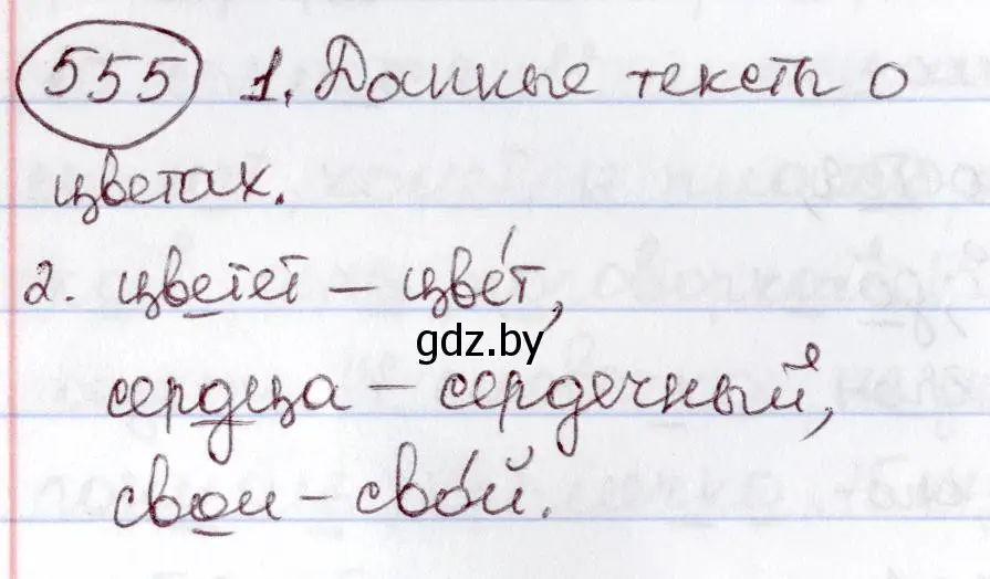 Решение номер 555 (страница 233) гдз по русскому языку 6 класс Мурина, Игнатович, учебник