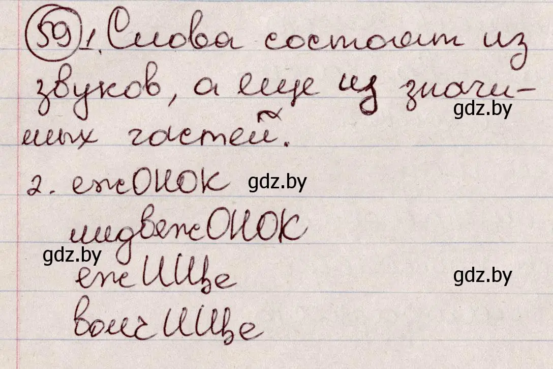 Решение номер 59 (страница 34) гдз по русскому языку 6 класс Мурина, Игнатович, учебник