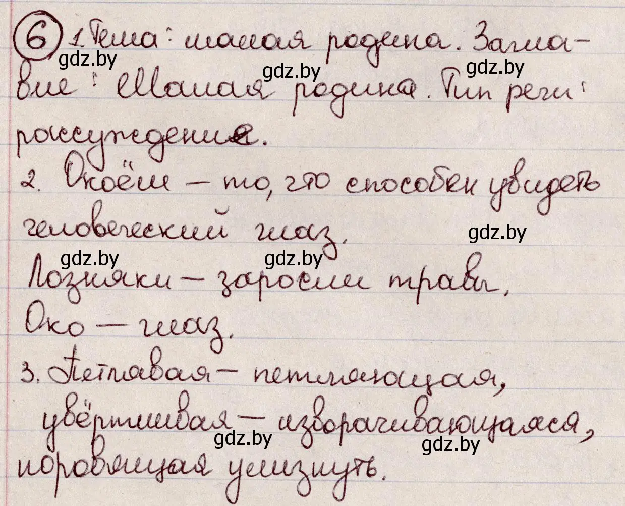 Решение номер 6 (страница 6) гдз по русскому языку 6 класс Мурина, Игнатович, учебник