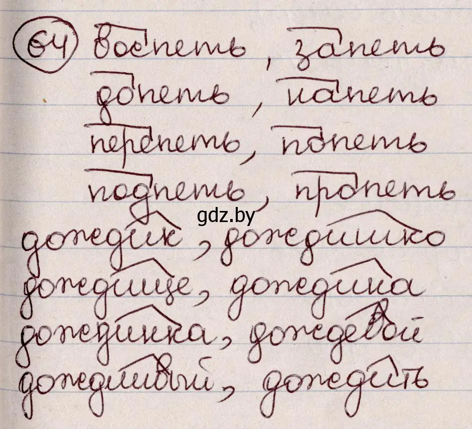 Решение номер 64 (страница 36) гдз по русскому языку 6 класс Мурина, Игнатович, учебник