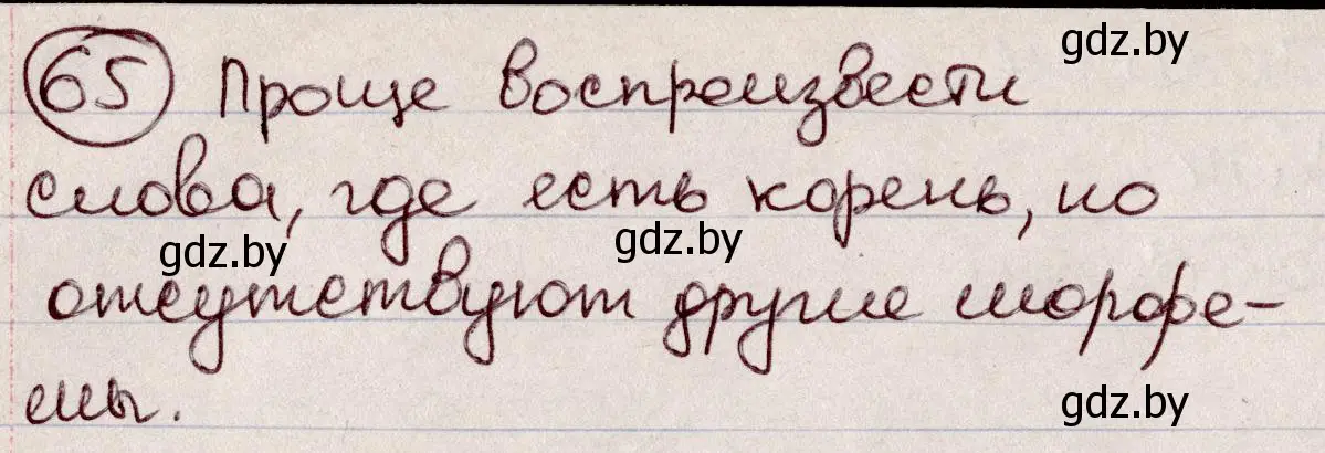 Решение номер 65 (страница 36) гдз по русскому языку 6 класс Мурина, Игнатович, учебник