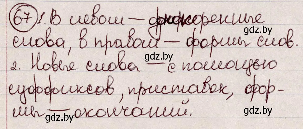 Решение номер 67 (страница 37) гдз по русскому языку 6 класс Мурина, Игнатович, учебник