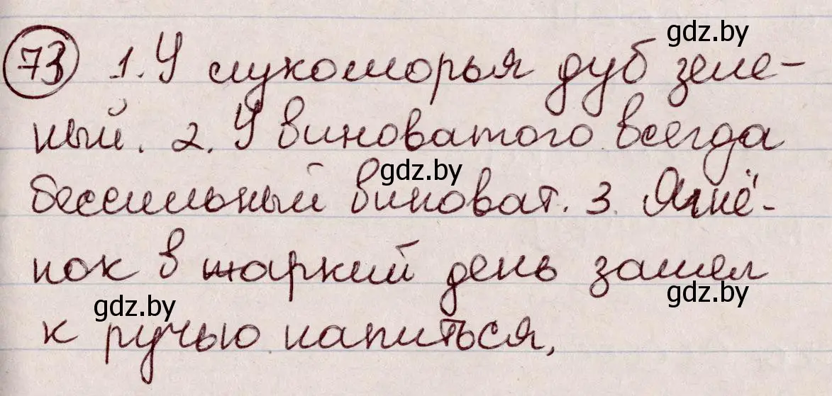 Решение номер 73 (страница 40) гдз по русскому языку 6 класс Мурина, Игнатович, учебник