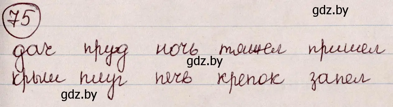 Решение номер 75 (страница 42) гдз по русскому языку 6 класс Мурина, Игнатович, учебник