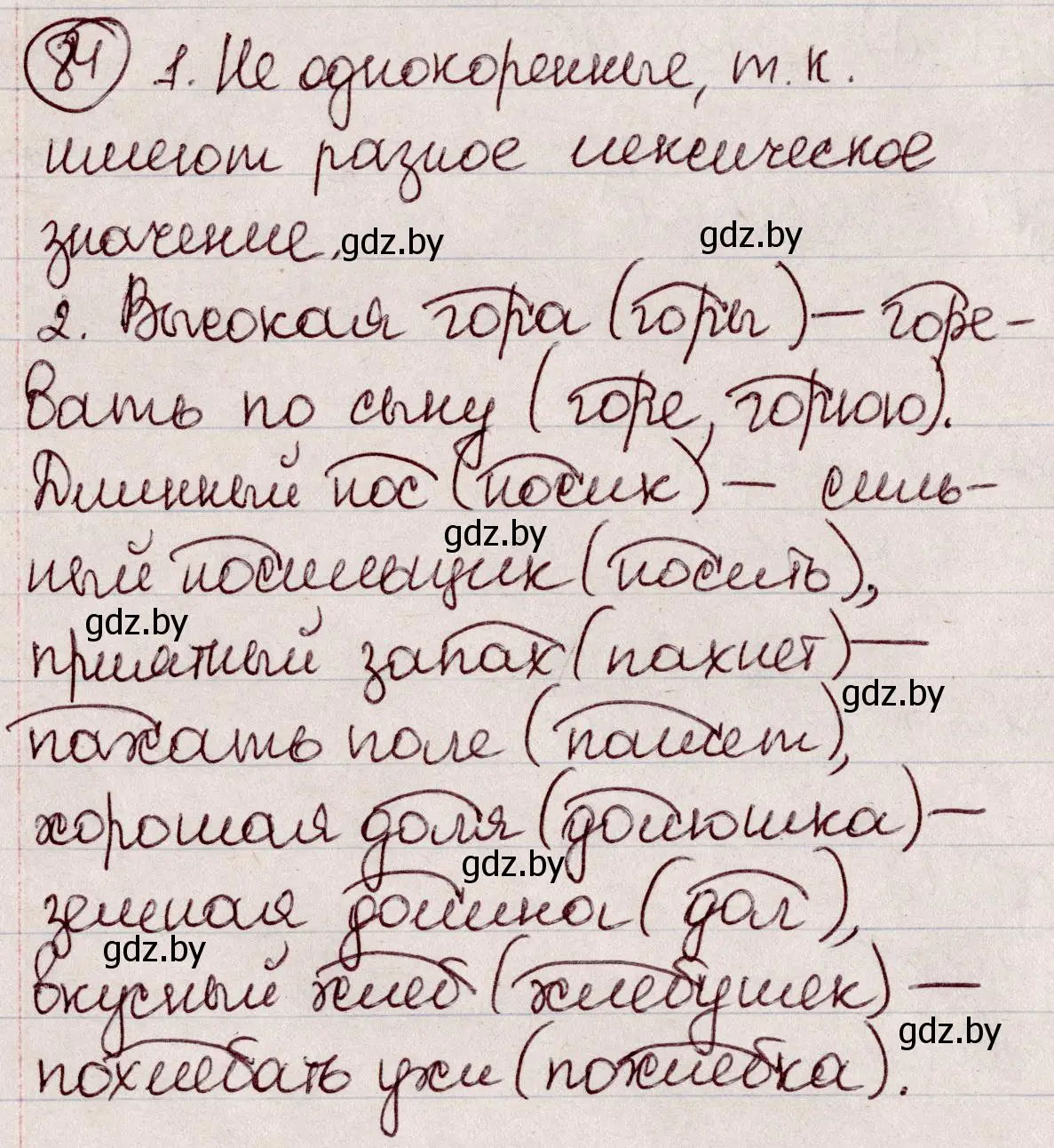 Решение номер 84 (страница 45) гдз по русскому языку 6 класс Мурина, Игнатович, учебник