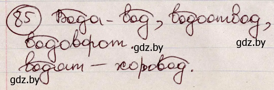 Решение номер 85 (страница 45) гдз по русскому языку 6 класс Мурина, Игнатович, учебник