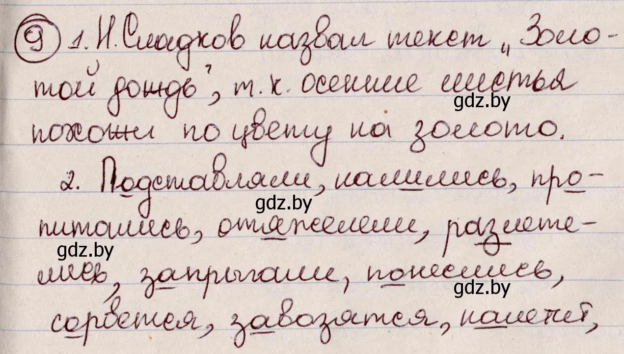 Решение номер 9 (страница 7) гдз по русскому языку 6 класс Мурина, Игнатович, учебник