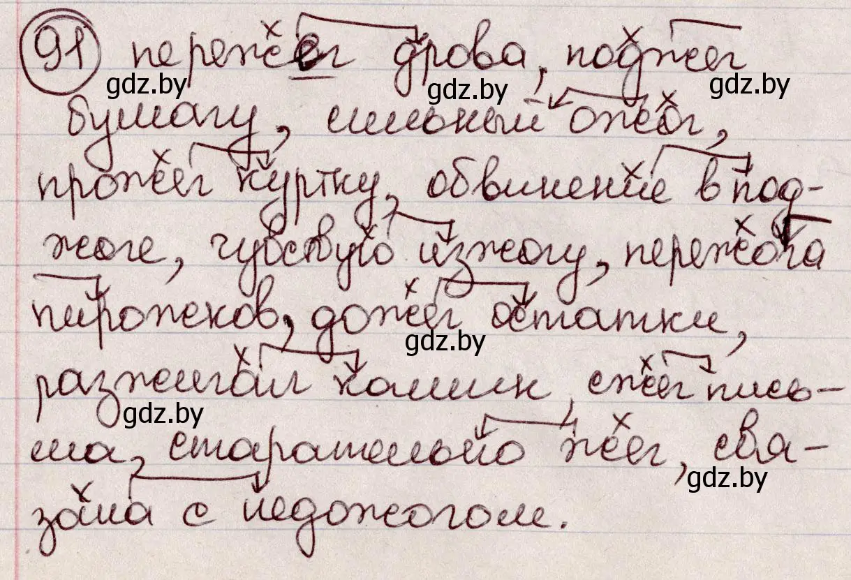 Решение номер 91 (страница 48) гдз по русскому языку 6 класс Мурина, Игнатович, учебник