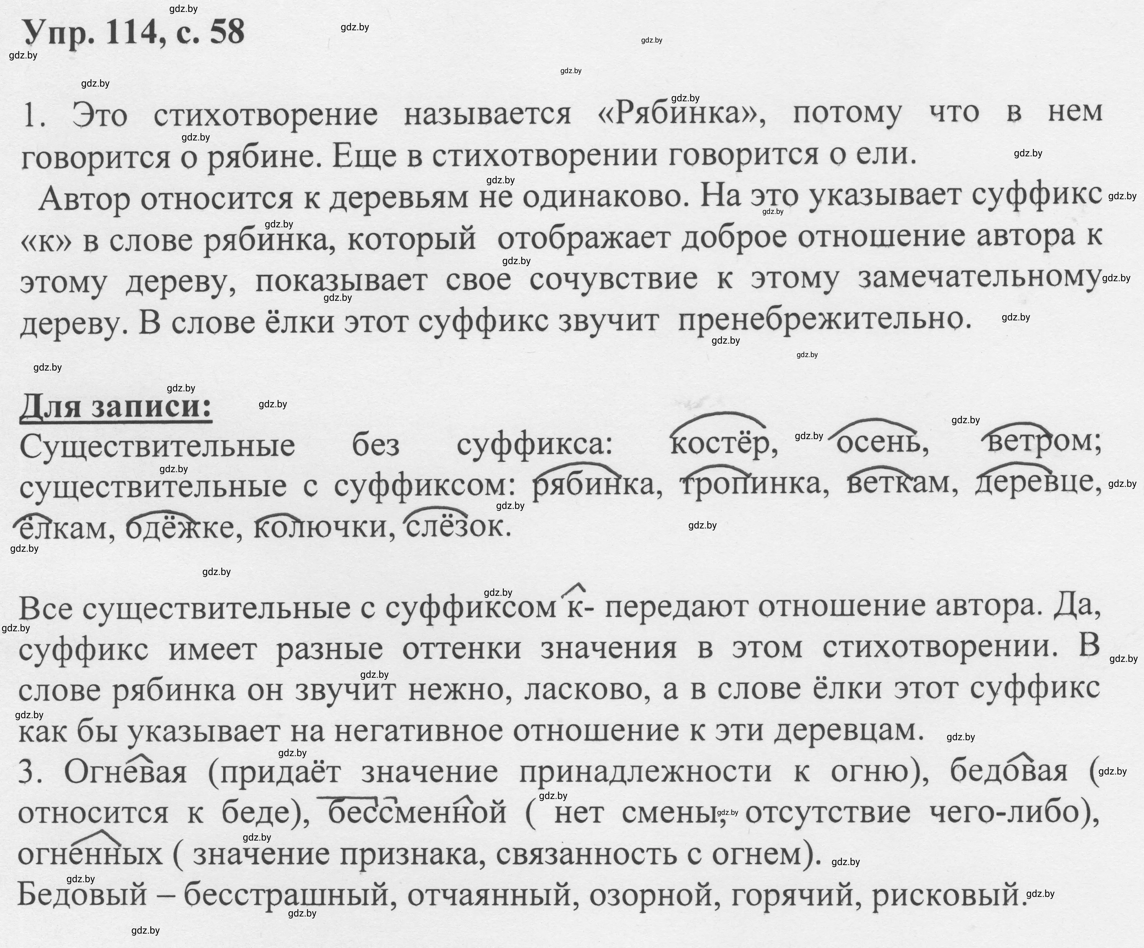 Решение 2. номер 114 (страница 58) гдз по русскому языку 6 класс Мурина, Игнатович, учебник