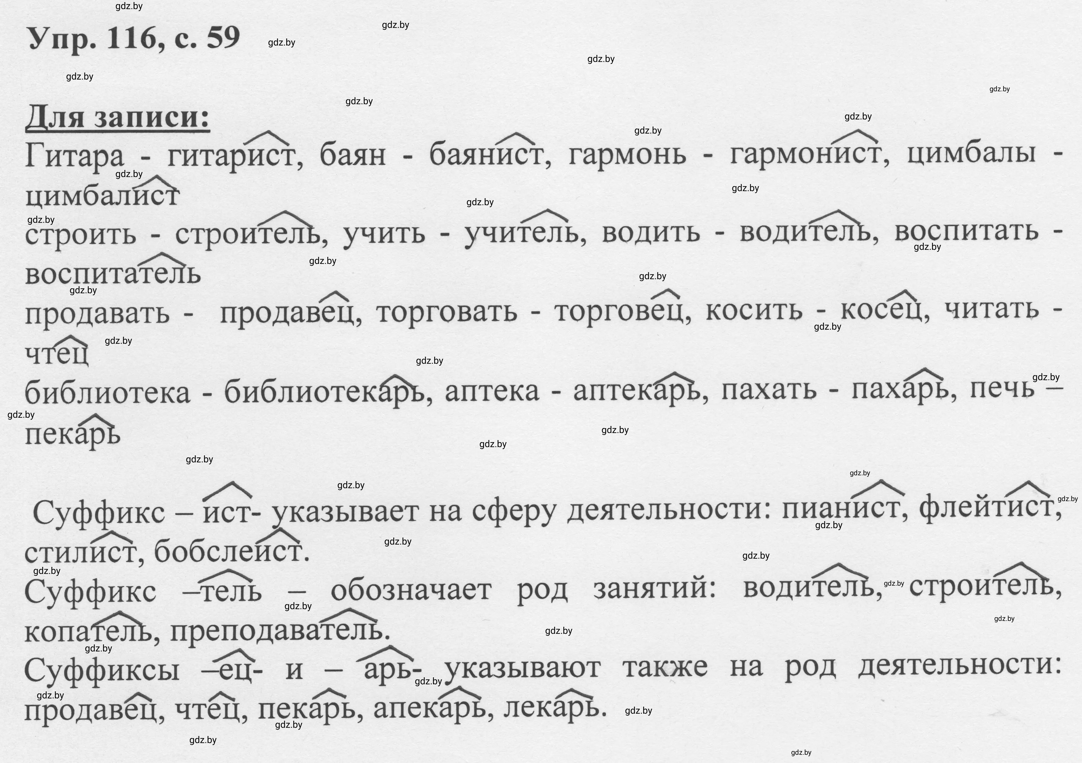 Решение 2. номер 116 (страница 59) гдз по русскому языку 6 класс Мурина, Игнатович, учебник