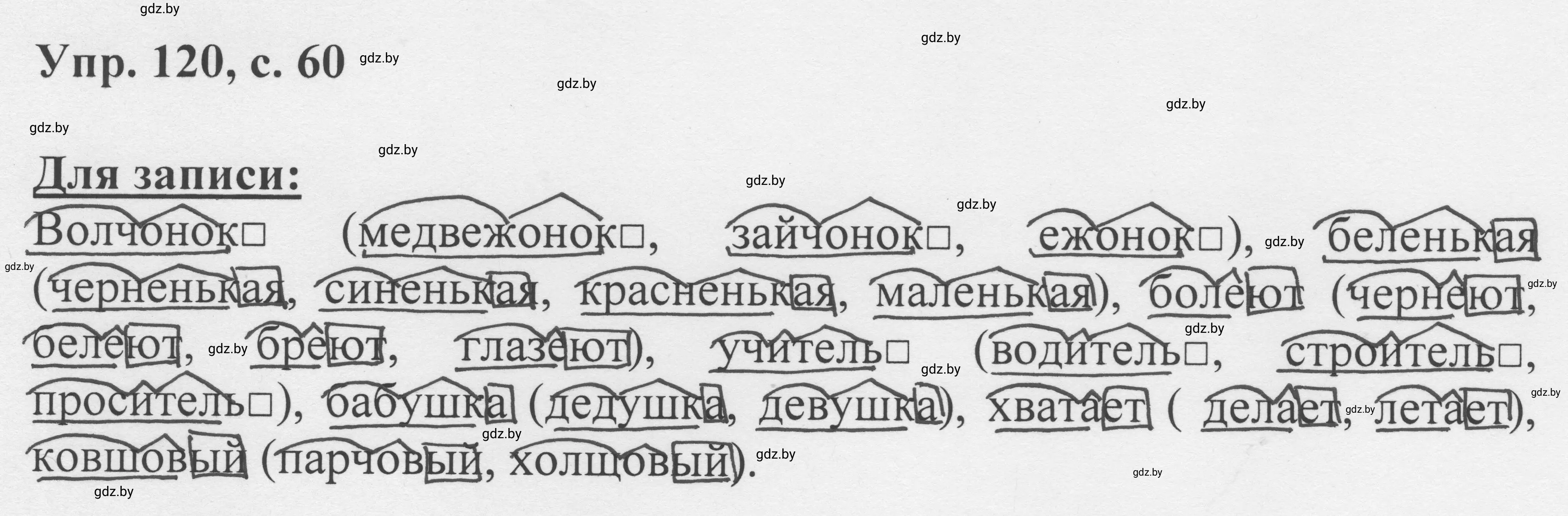 Решение 2. номер 120 (страница 60) гдз по русскому языку 6 класс Мурина, Игнатович, учебник