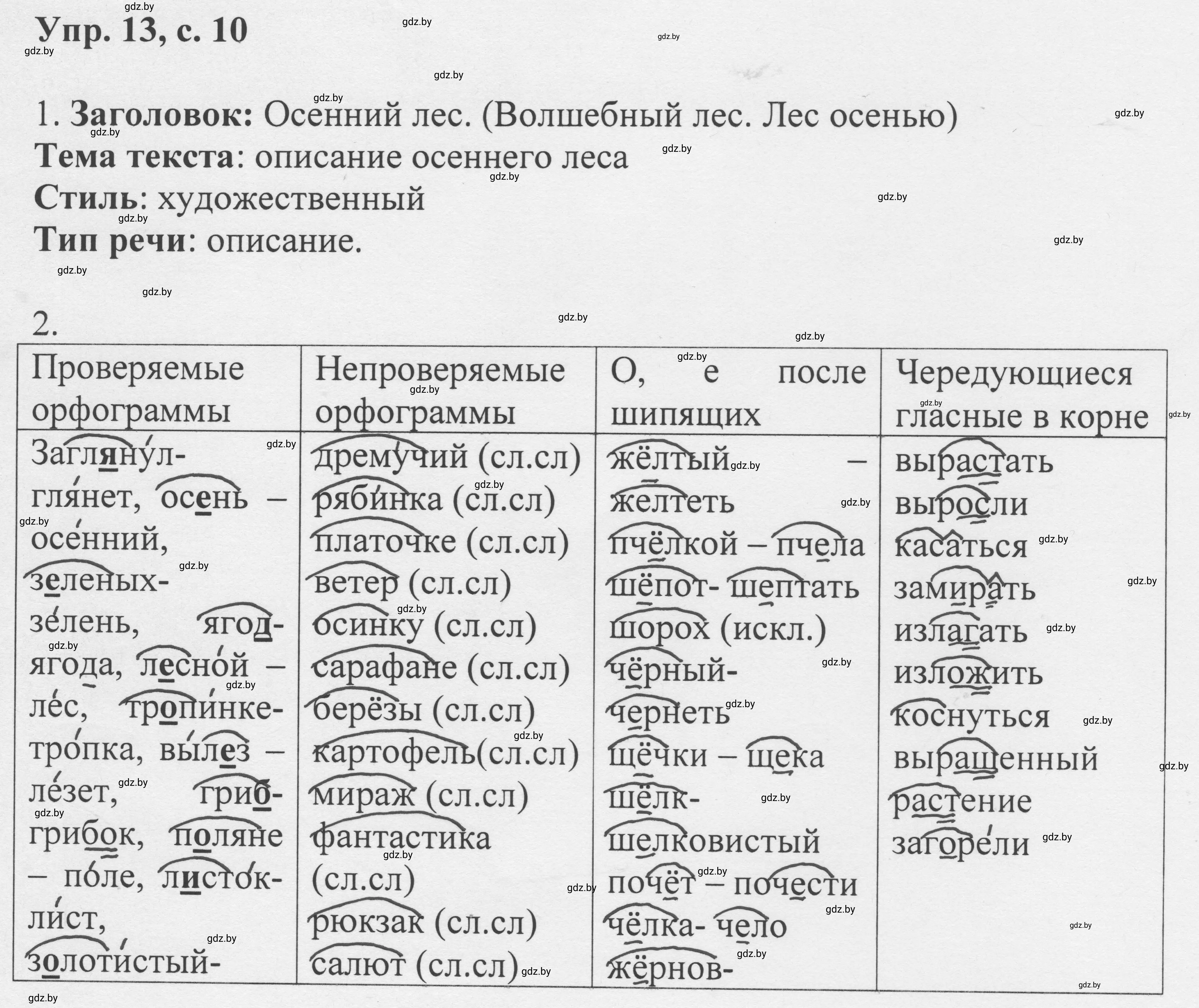 Решение 2. номер 13 (страница 10) гдз по русскому языку 6 класс Мурина, Игнатович, учебник