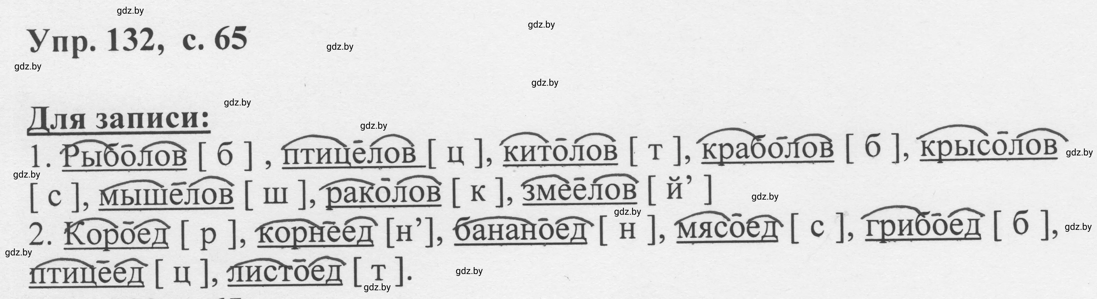 Решение 2. номер 132 (страница 65) гдз по русскому языку 6 класс Мурина, Игнатович, учебник