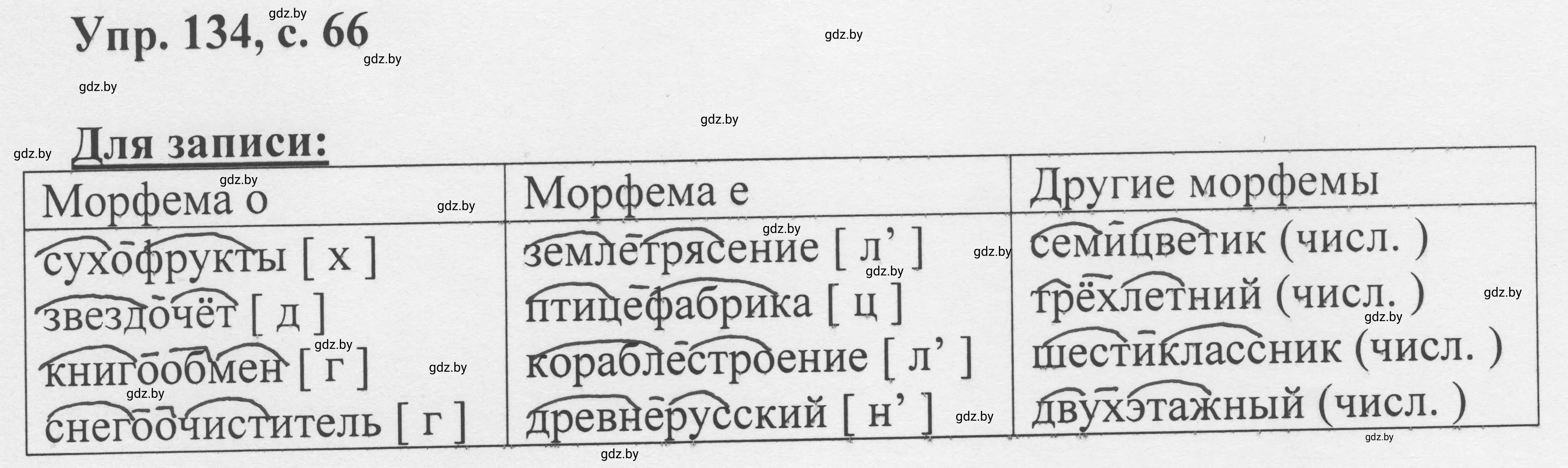 Решение 2. номер 134 (страница 66) гдз по русскому языку 6 класс Мурина, Игнатович, учебник