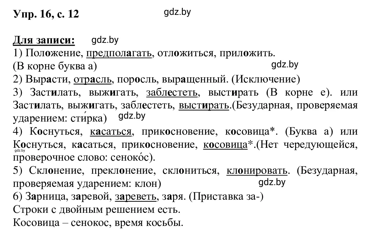 Решение 2. номер 16 (страница 12) гдз по русскому языку 6 класс Мурина, Игнатович, учебник