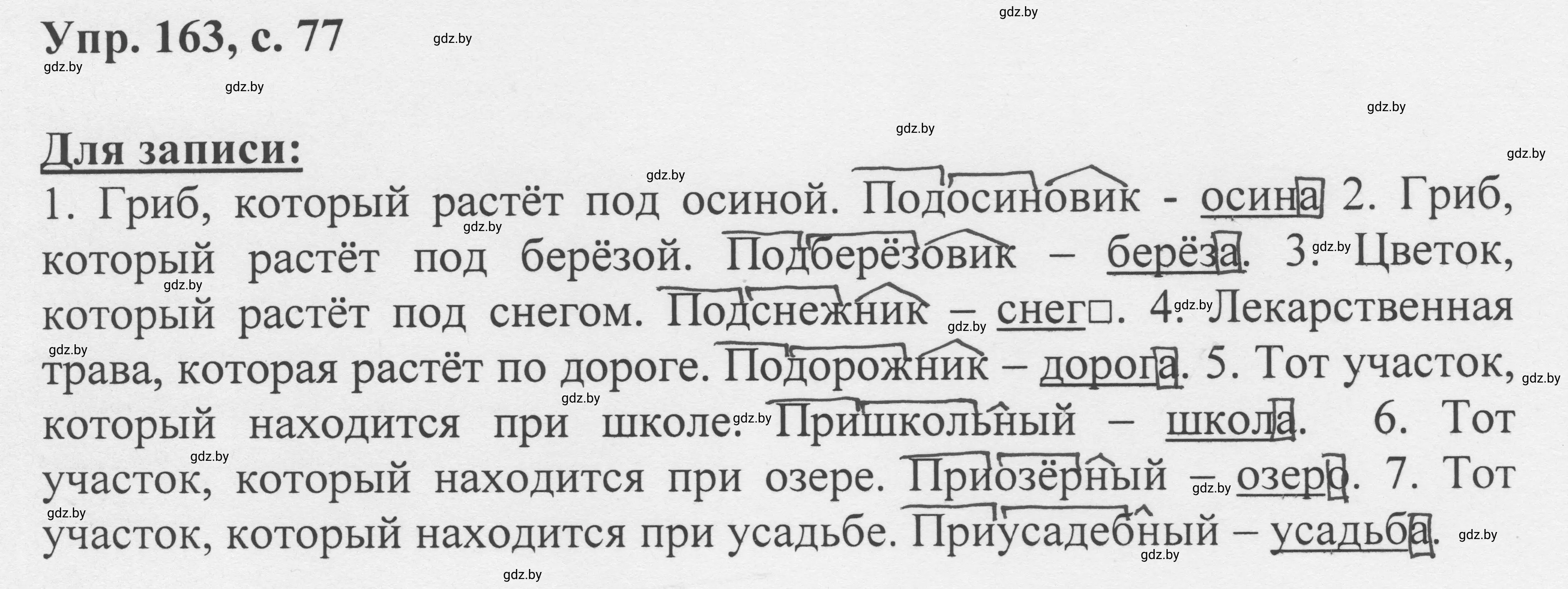 Решение 2. номер 163 (страница 77) гдз по русскому языку 6 класс Мурина, Игнатович, учебник