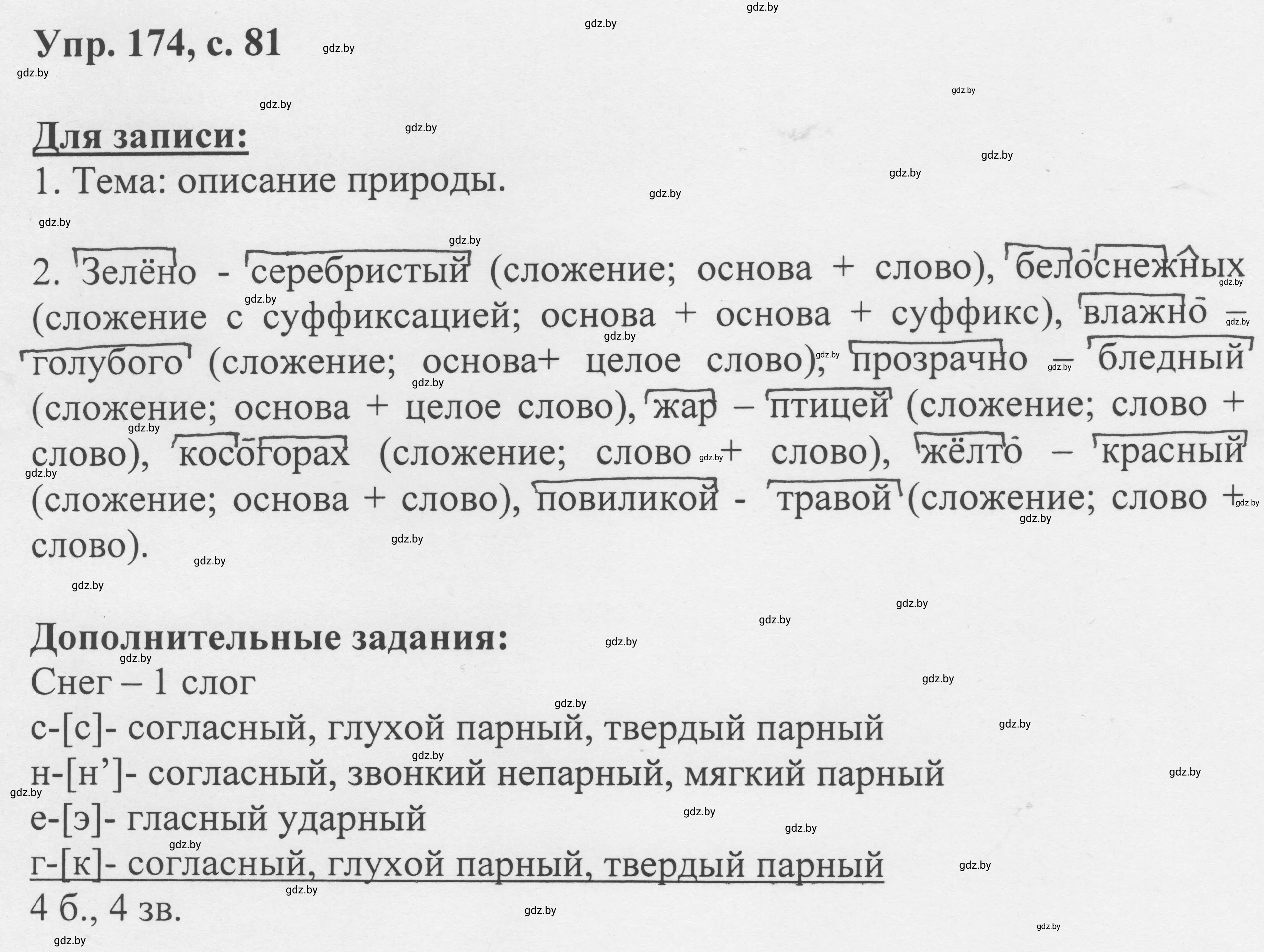 Решение 2. номер 174 (страница 81) гдз по русскому языку 6 класс Мурина, Игнатович, учебник