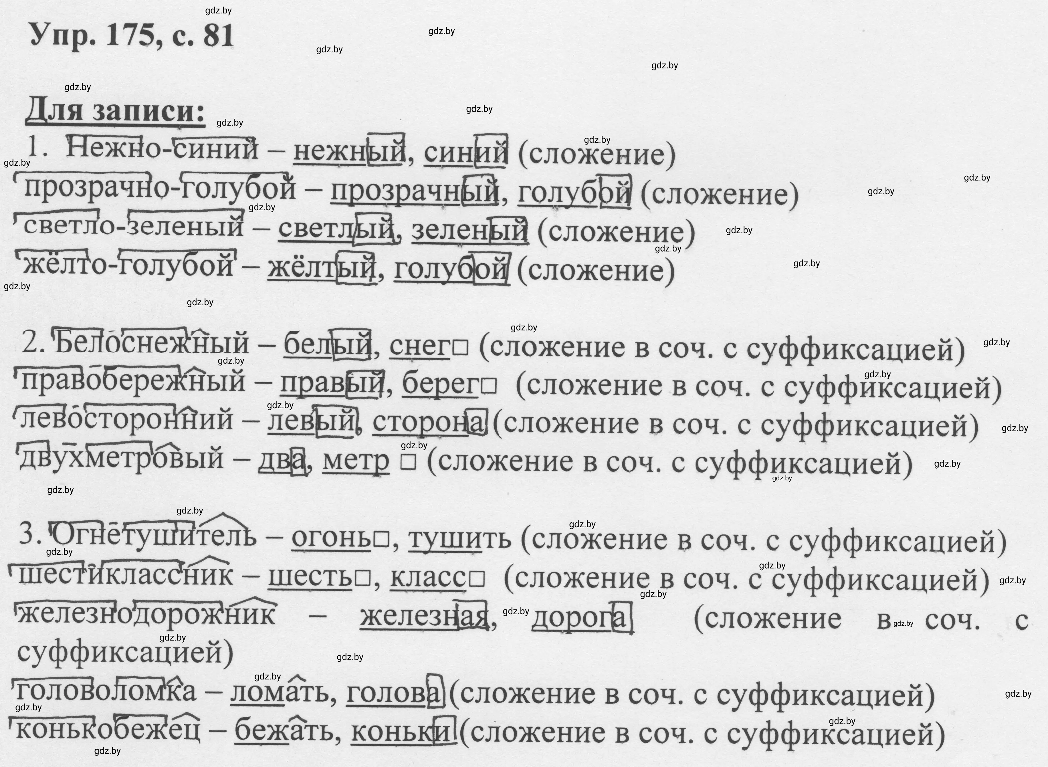 Решение 2. номер 175 (страница 81) гдз по русскому языку 6 класс Мурина, Игнатович, учебник