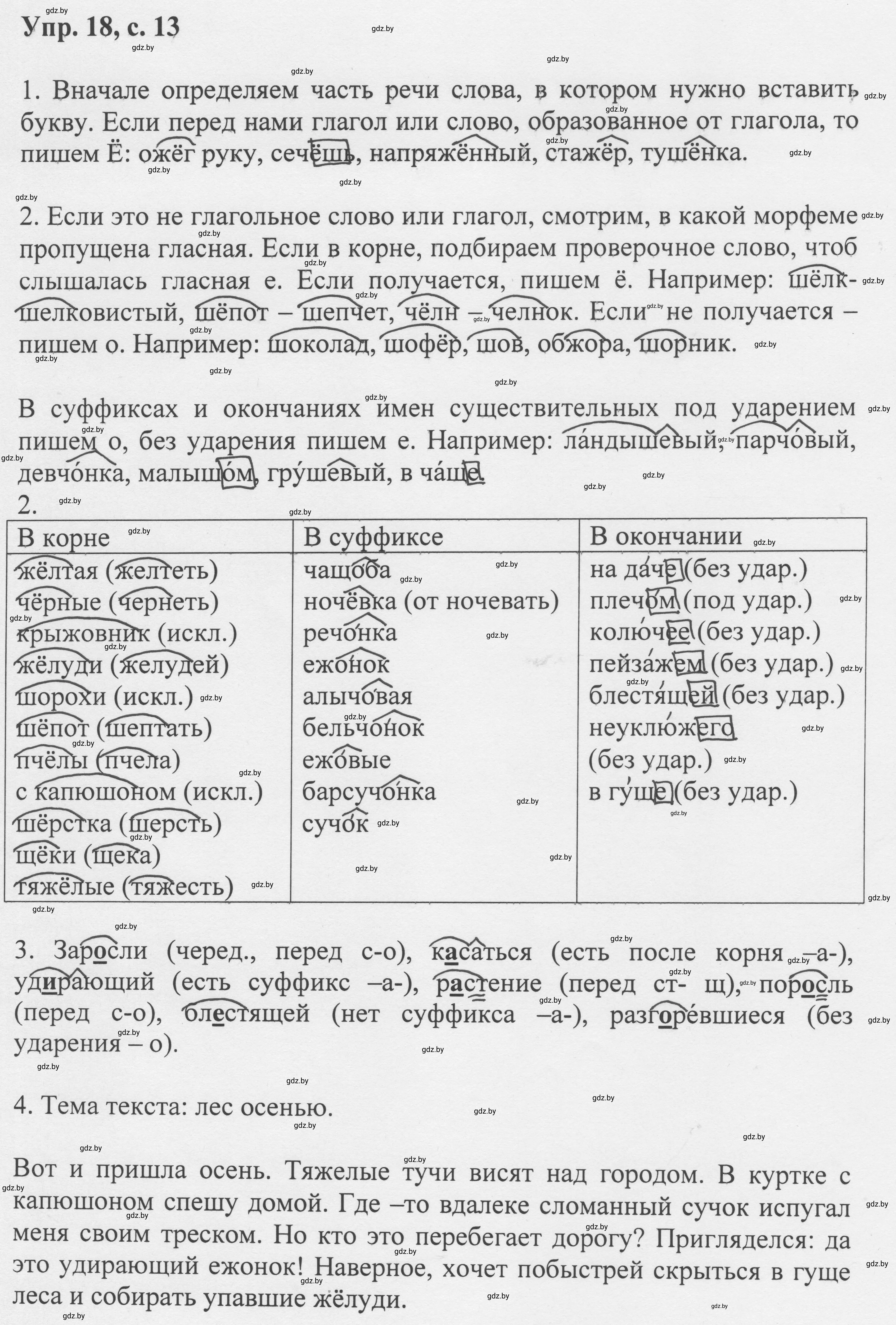 Решение 2. номер 18 (страница 13) гдз по русскому языку 6 класс Мурина, Игнатович, учебник