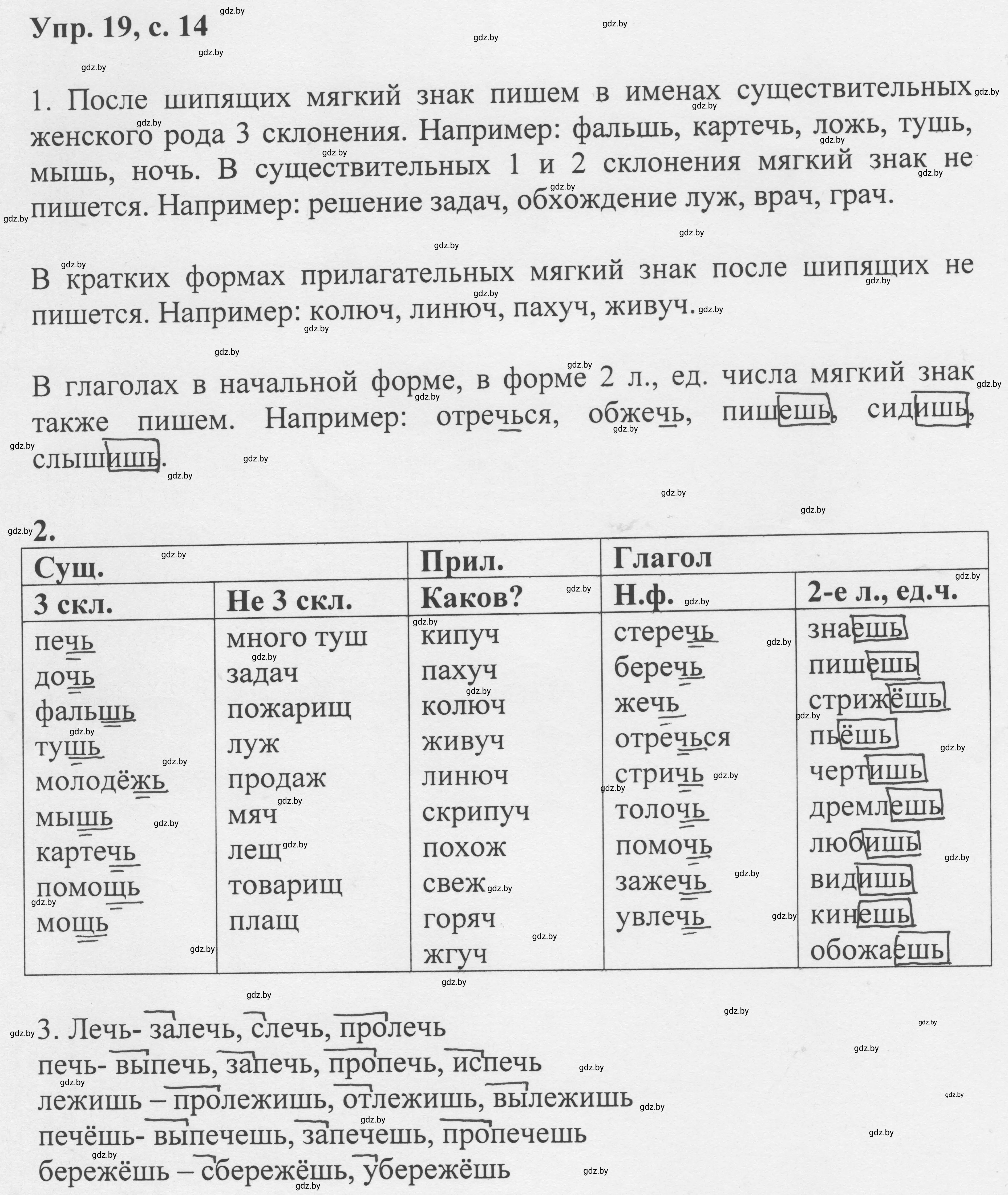 Решение 2. номер 19 (страница 14) гдз по русскому языку 6 класс Мурина, Игнатович, учебник