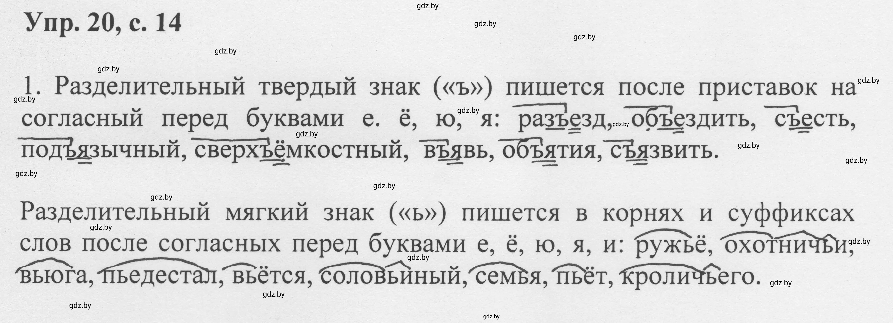 Решение 2. номер 20 (страница 14) гдз по русскому языку 6 класс Мурина, Игнатович, учебник