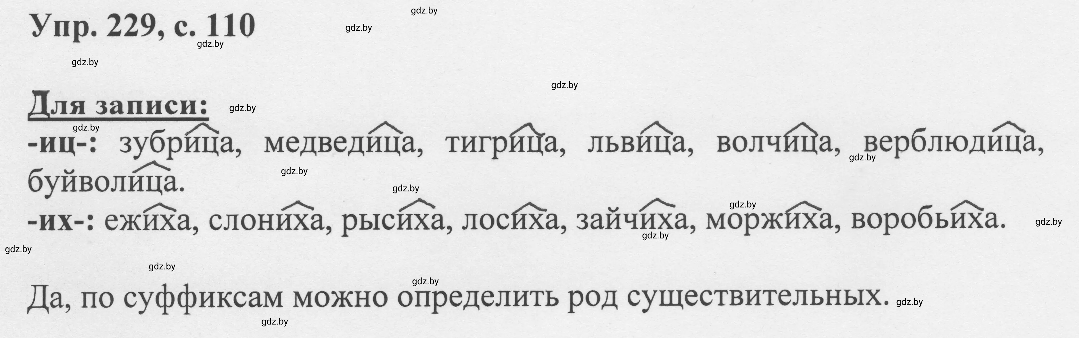 Решение 2. номер 229 (страница 110) гдз по русскому языку 6 класс Мурина, Игнатович, учебник