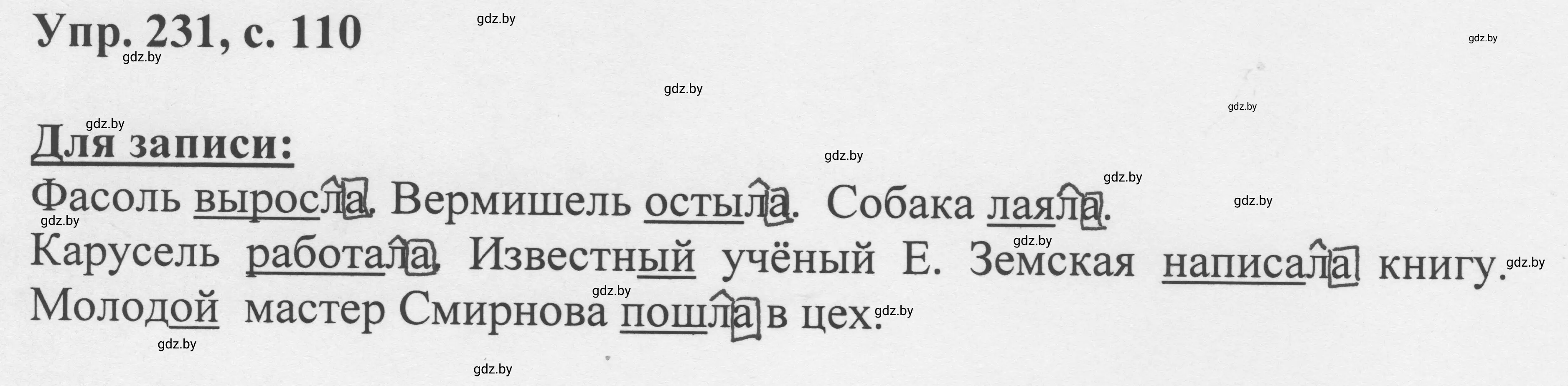 Решение 2. номер 231 (страница 110) гдз по русскому языку 6 класс Мурина, Игнатович, учебник