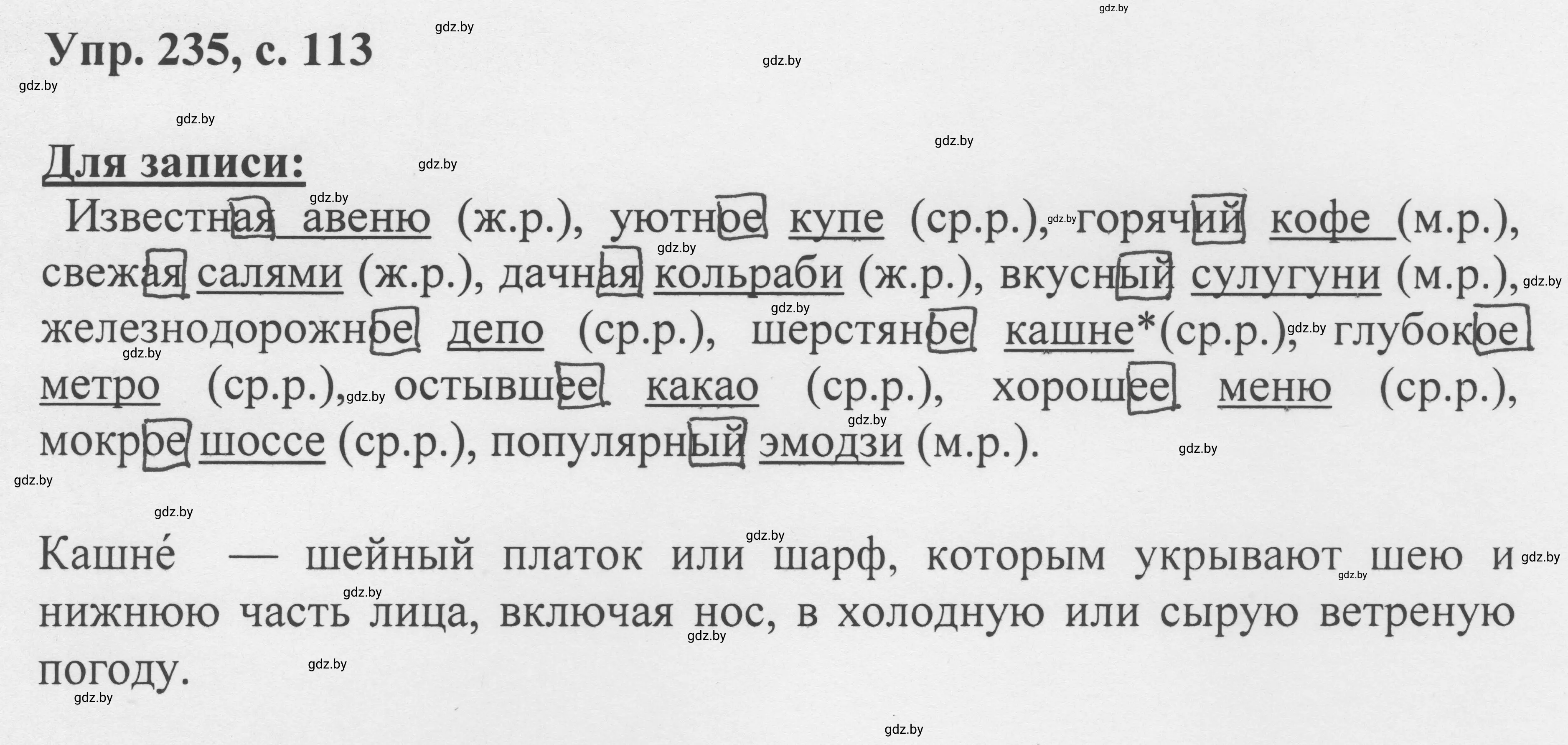 Решение 2. номер 235 (страница 113) гдз по русскому языку 6 класс Мурина, Игнатович, учебник