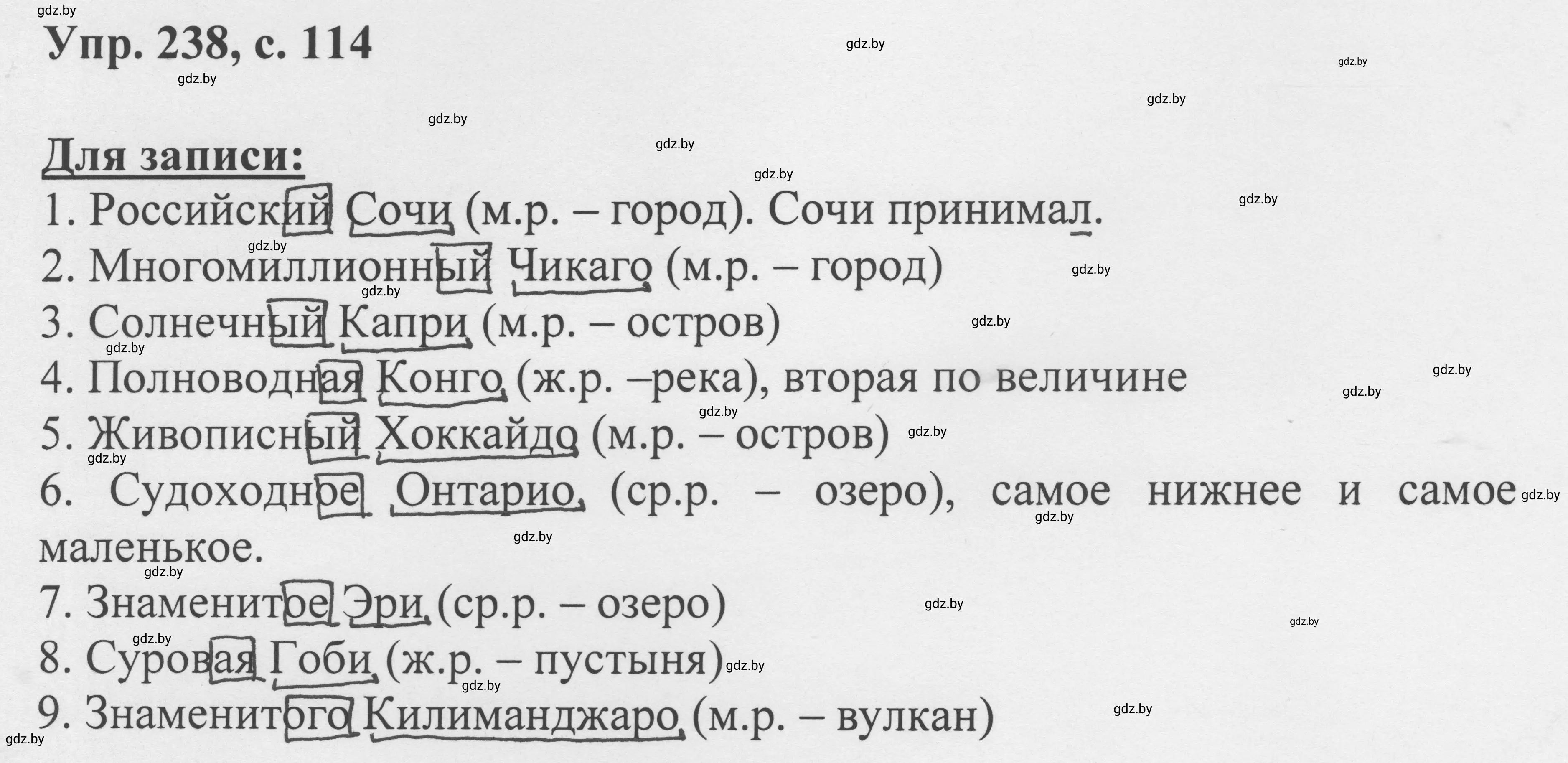 Решение 2. номер 238 (страница 114) гдз по русскому языку 6 класс Мурина, Игнатович, учебник