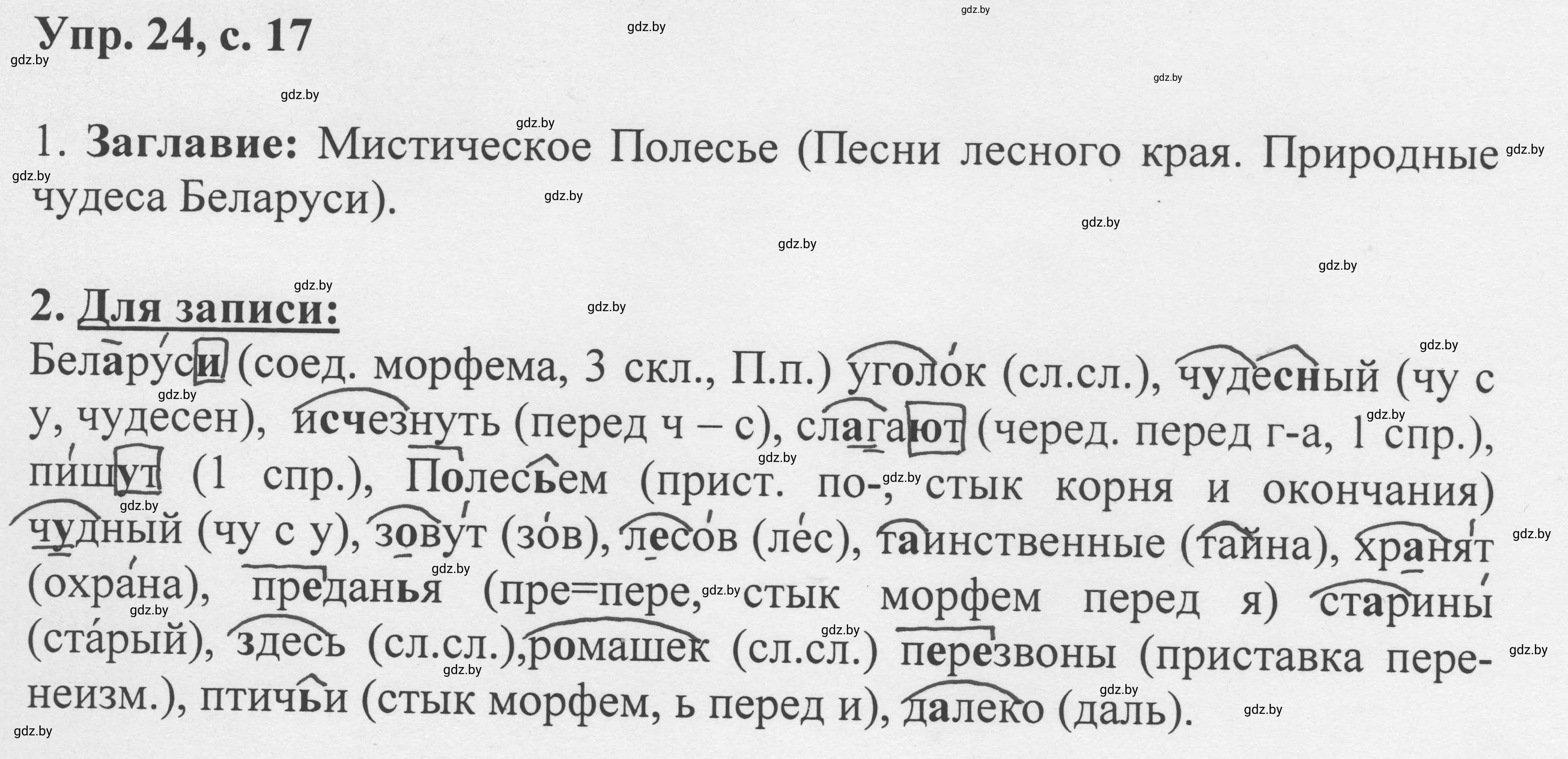 Решение 2. номер 24 (страница 17) гдз по русскому языку 6 класс Мурина, Игнатович, учебник