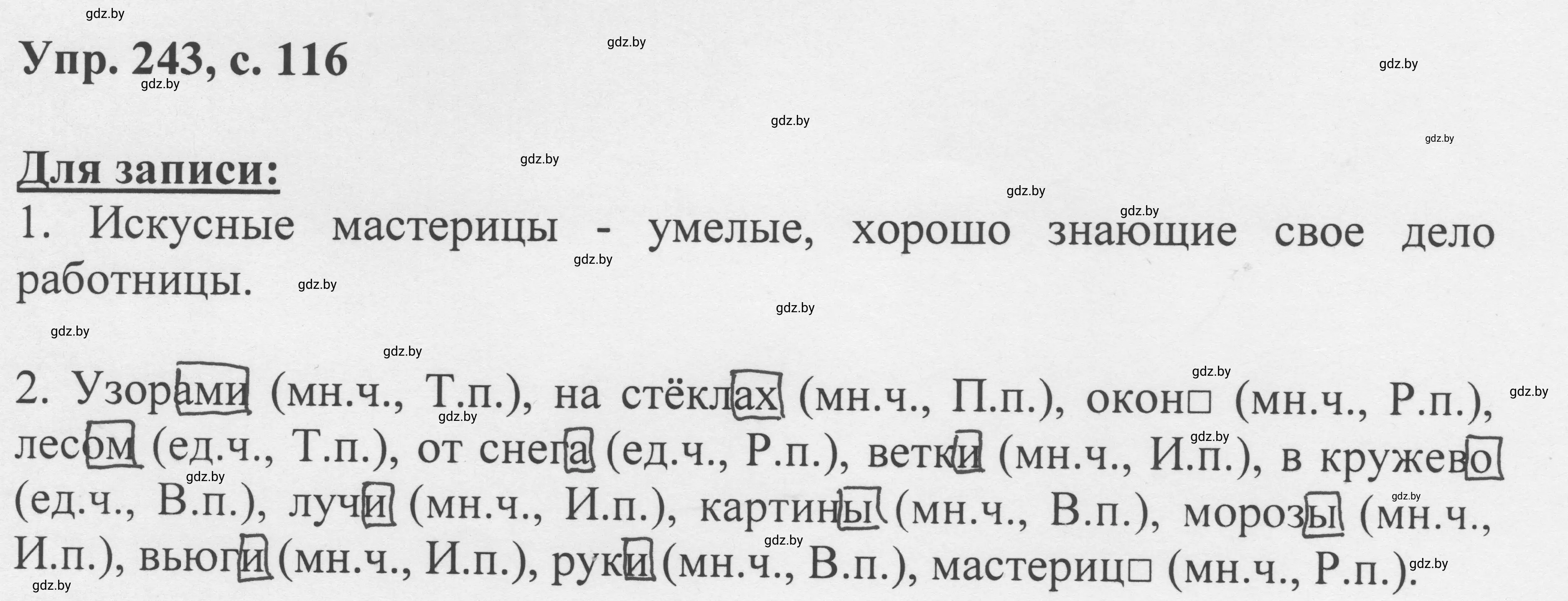 Решение 2. номер 243 (страница 116) гдз по русскому языку 6 класс Мурина, Игнатович, учебник