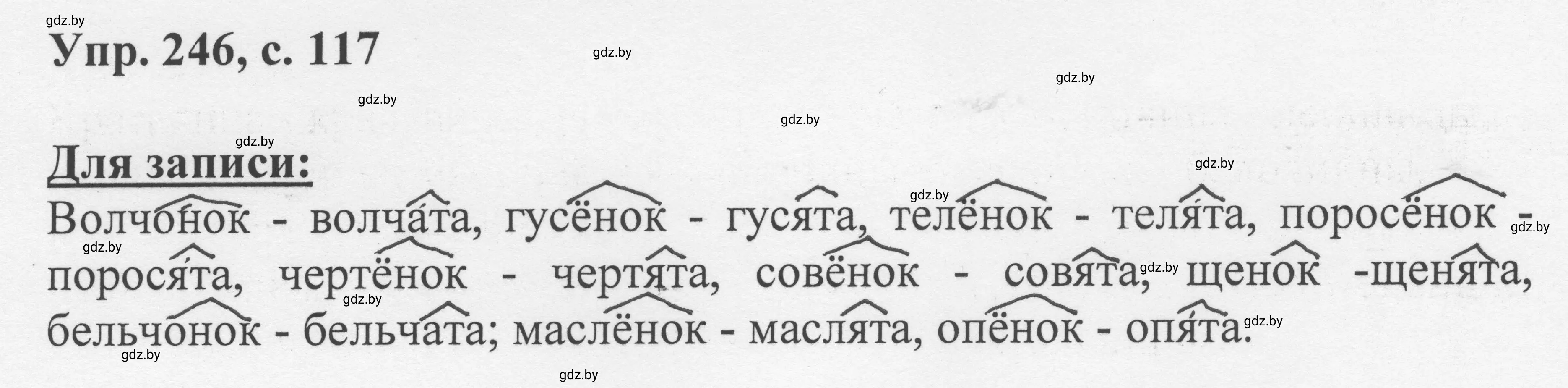 Решение 2. номер 246 (страница 117) гдз по русскому языку 6 класс Мурина, Игнатович, учебник