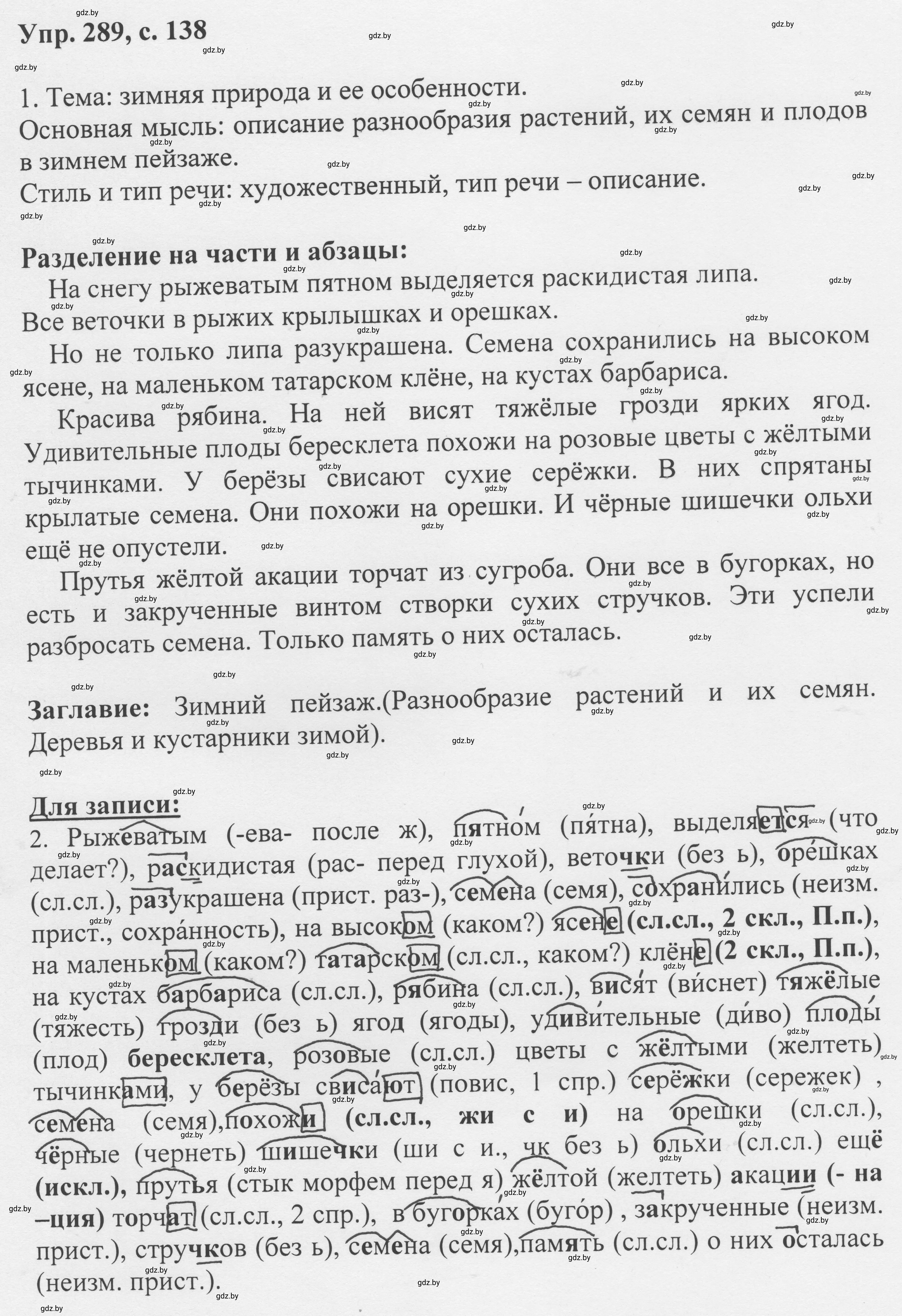 Решение 2. номер 289 (страница 138) гдз по русскому языку 6 класс Мурина, Игнатович, учебник