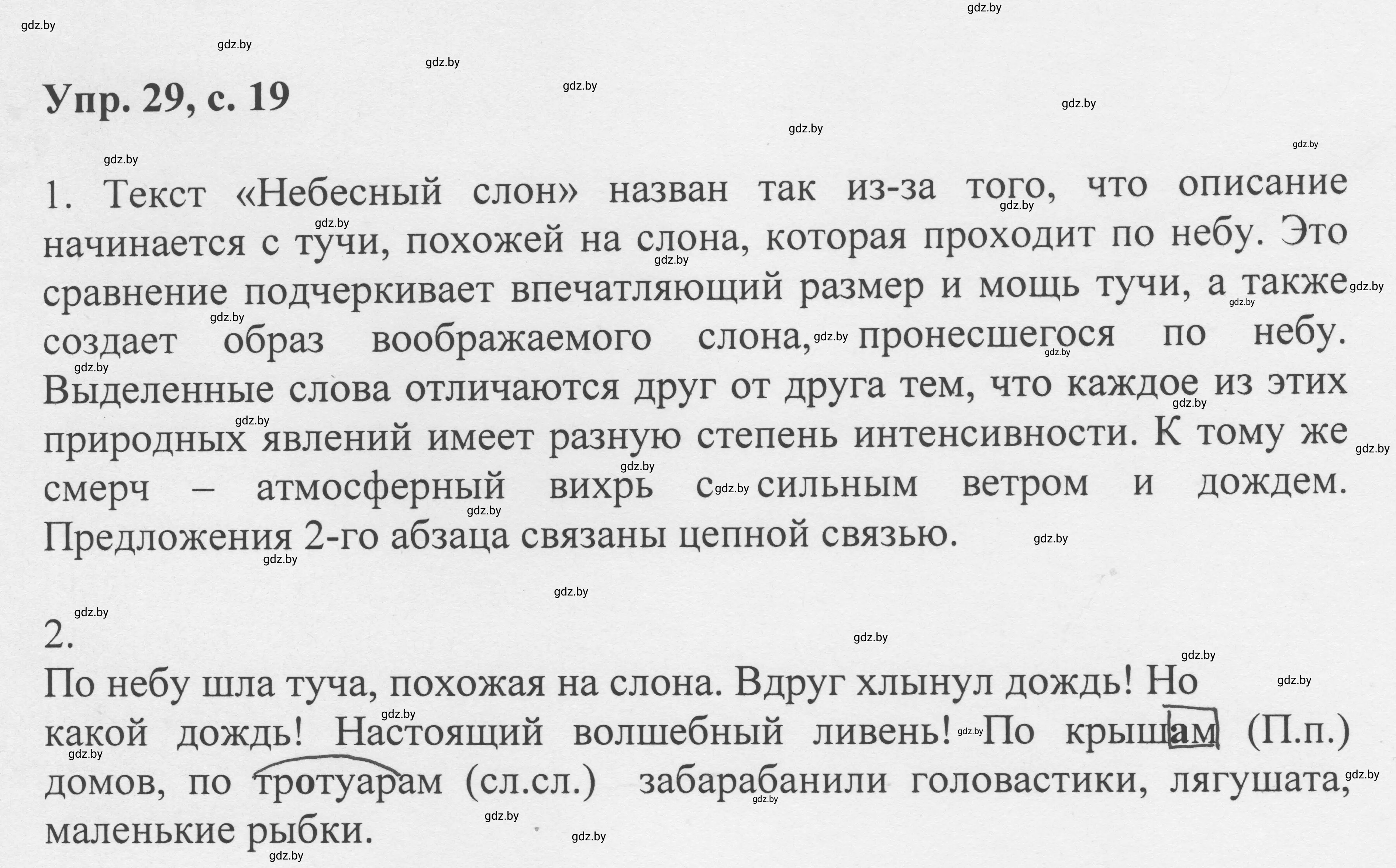 Решение 2. номер 29 (страница 19) гдз по русскому языку 6 класс Мурина, Игнатович, учебник