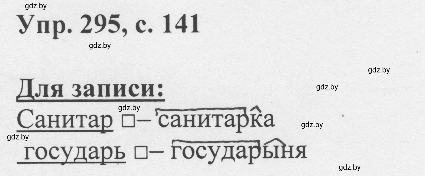 Решение 2. номер 295 (страница 141) гдз по русскому языку 6 класс Мурина, Игнатович, учебник