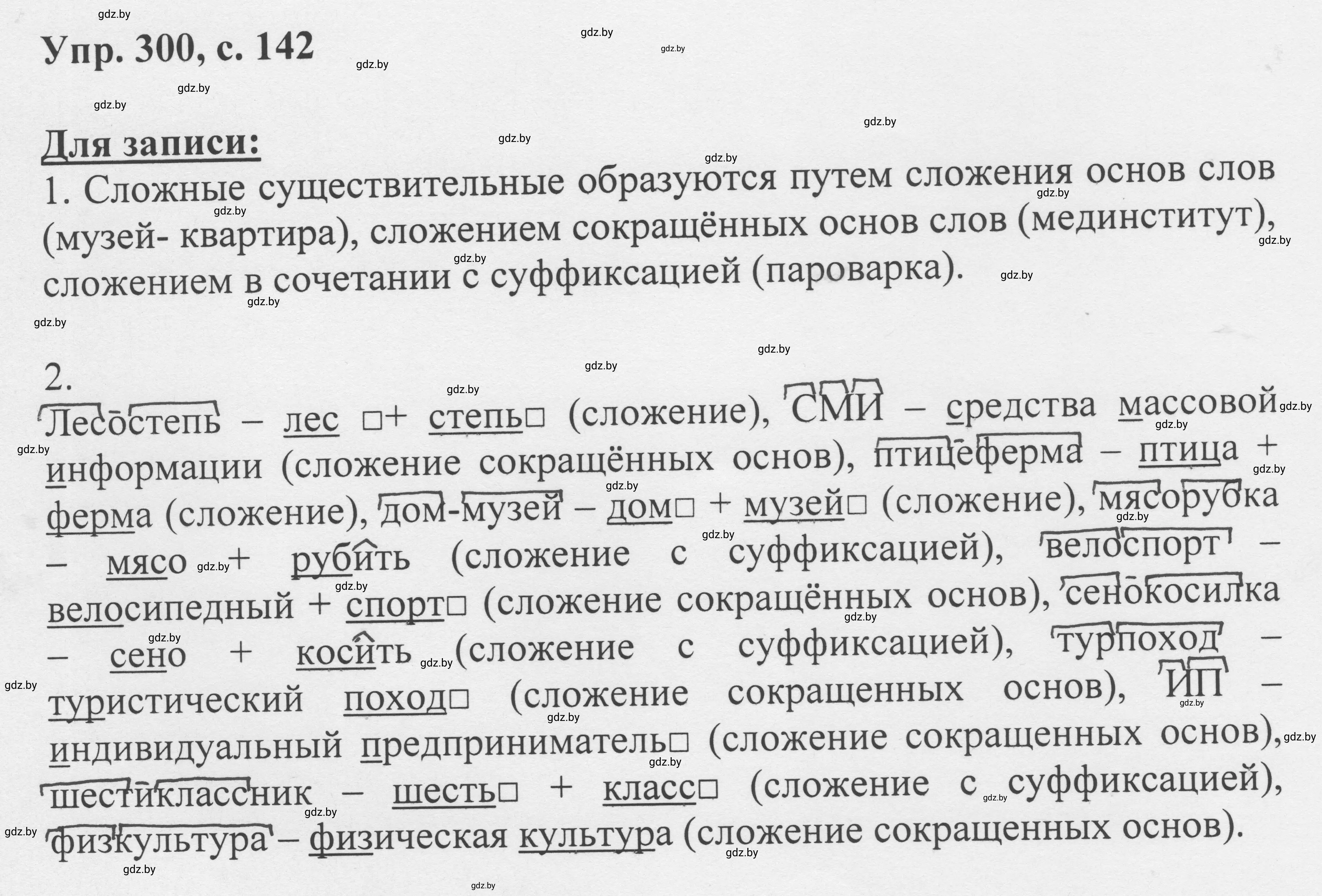 Решение 2. номер 300 (страница 142) гдз по русскому языку 6 класс Мурина, Игнатович, учебник