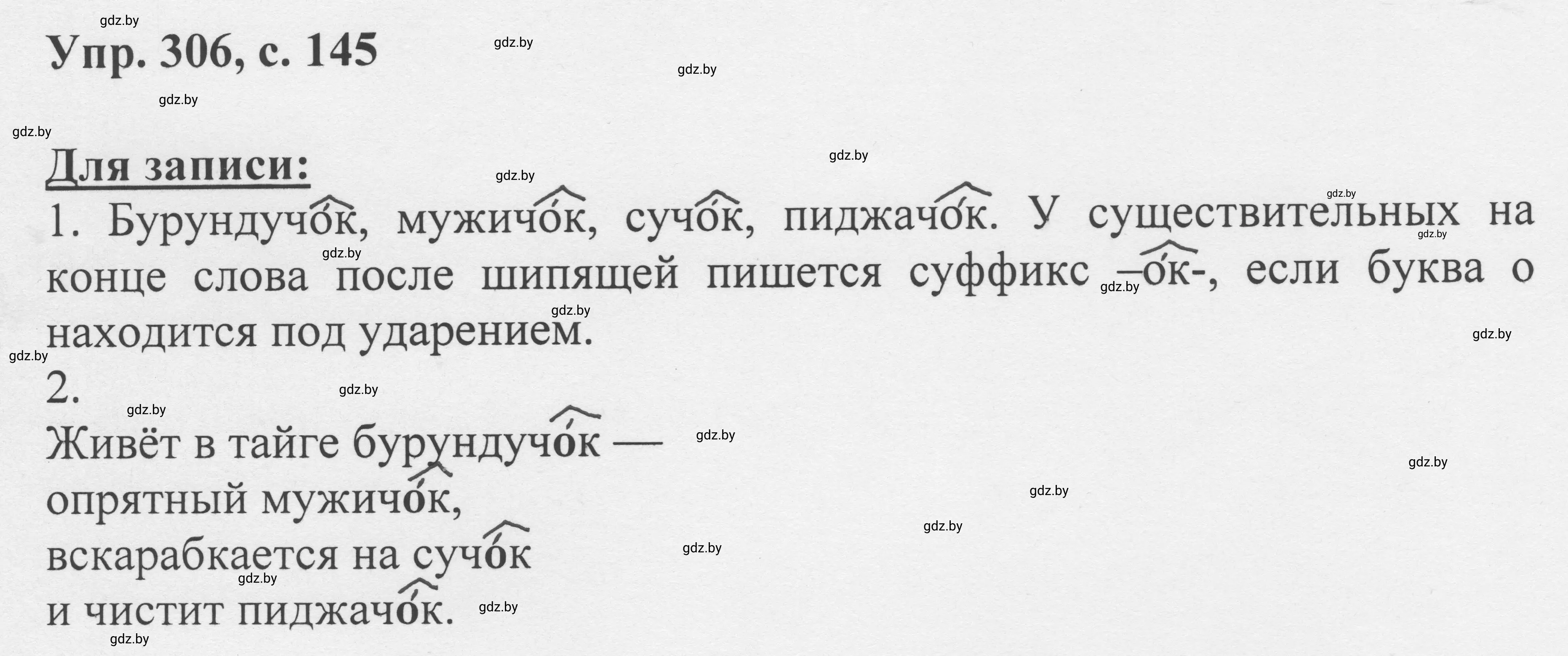 Решение 2. номер 306 (страница 145) гдз по русскому языку 6 класс Мурина, Игнатович, учебник