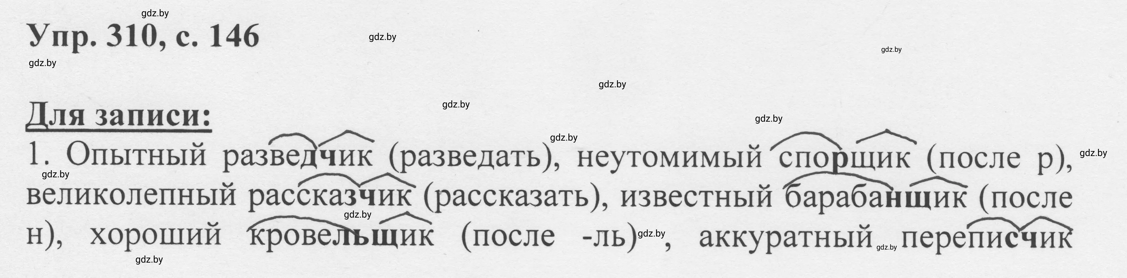 Решение 2. номер 310 (страница 146) гдз по русскому языку 6 класс Мурина, Игнатович, учебник