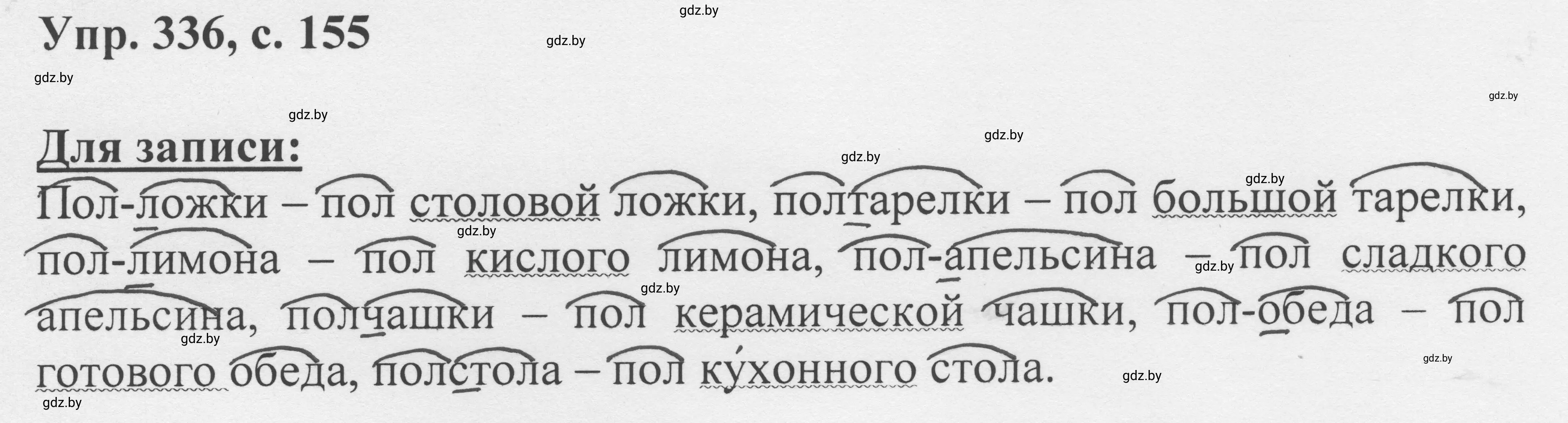 Решение 2. номер 336 (страница 155) гдз по русскому языку 6 класс Мурина, Игнатович, учебник