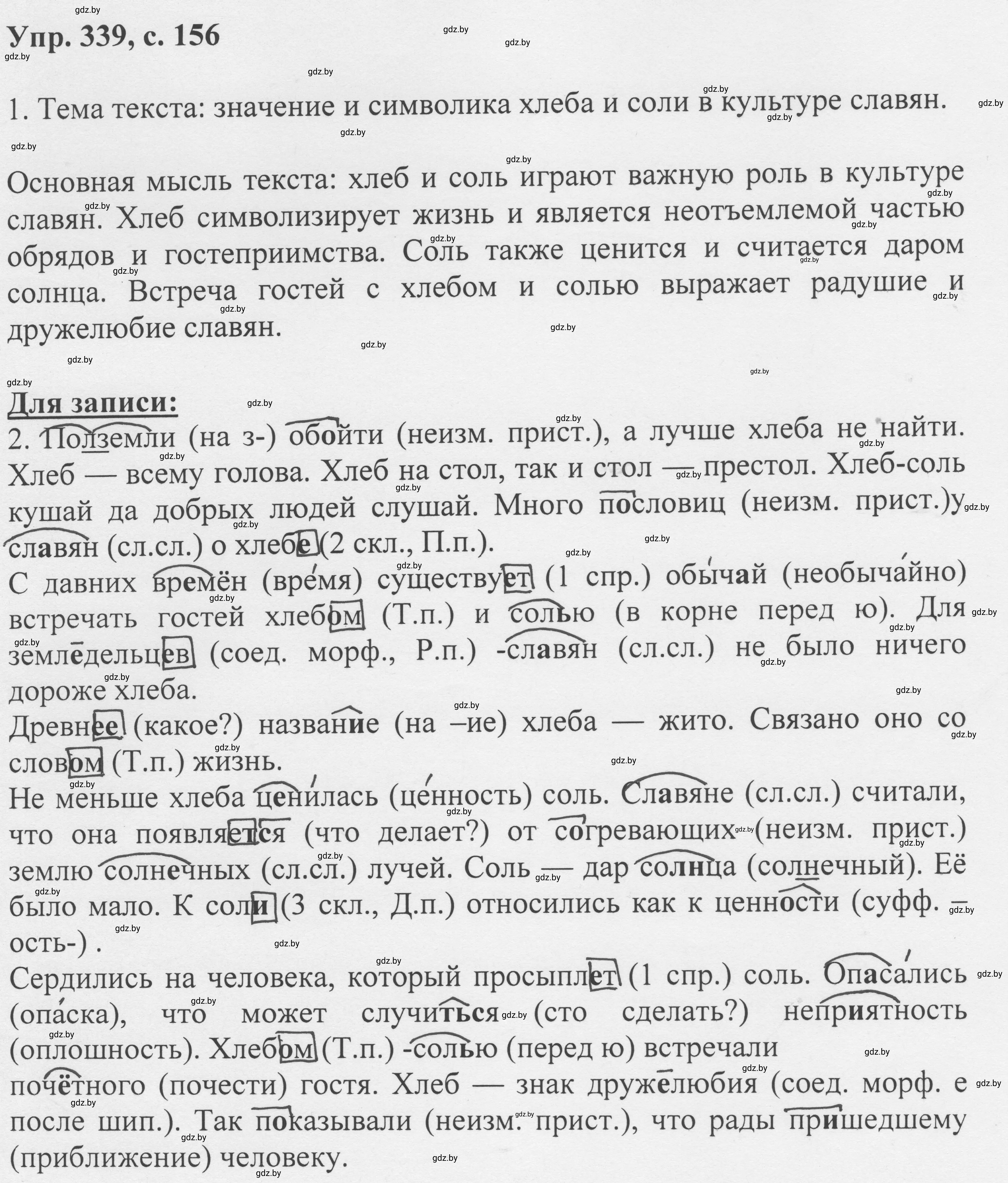 Решение 2. номер 339 (страница 156) гдз по русскому языку 6 класс Мурина, Игнатович, учебник