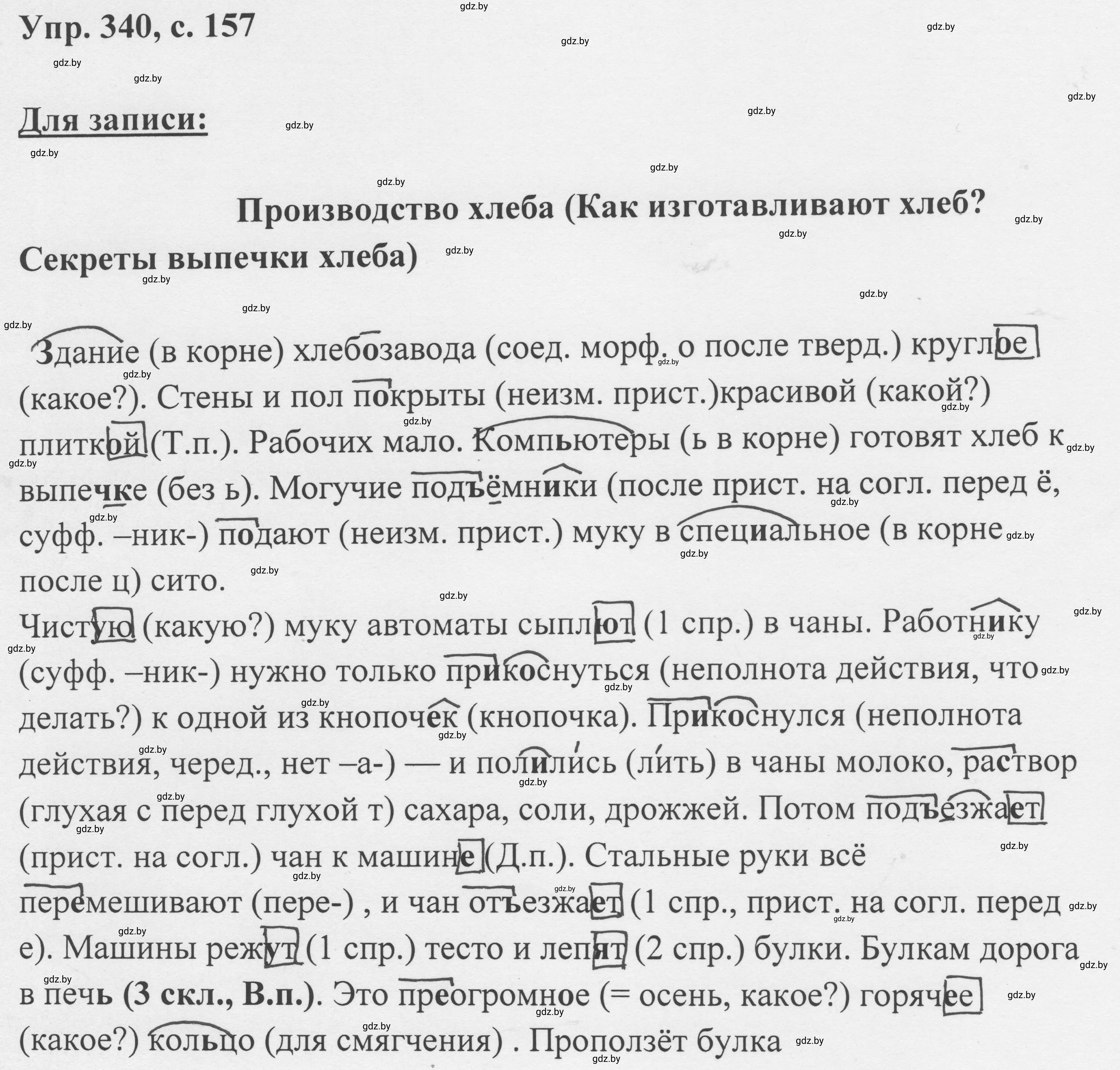 Решение 2. номер 340 (страница 157) гдз по русскому языку 6 класс Мурина, Игнатович, учебник